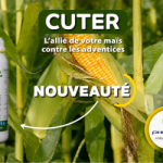Phileval lance cuter, son nouvel herbicide pour la culture du maïs