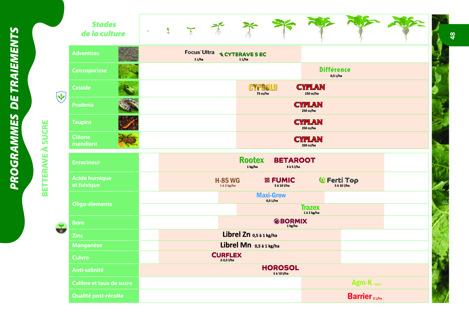 Programme de traitements agrumes