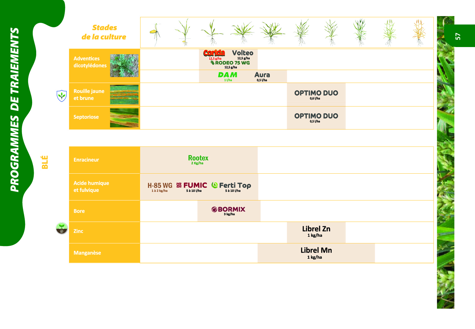 Programme de traitements agrumes