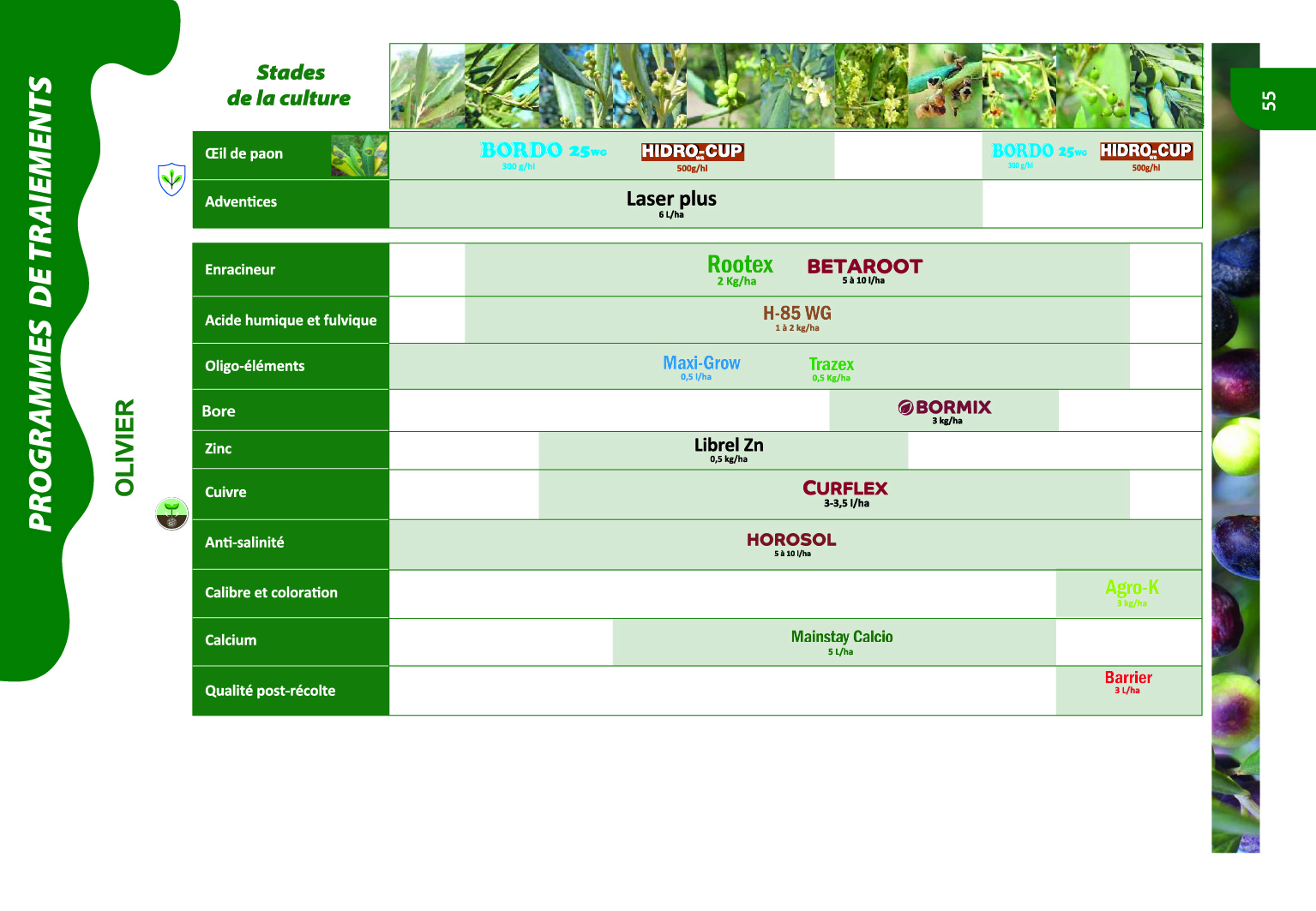 Programme de traitements agrumes