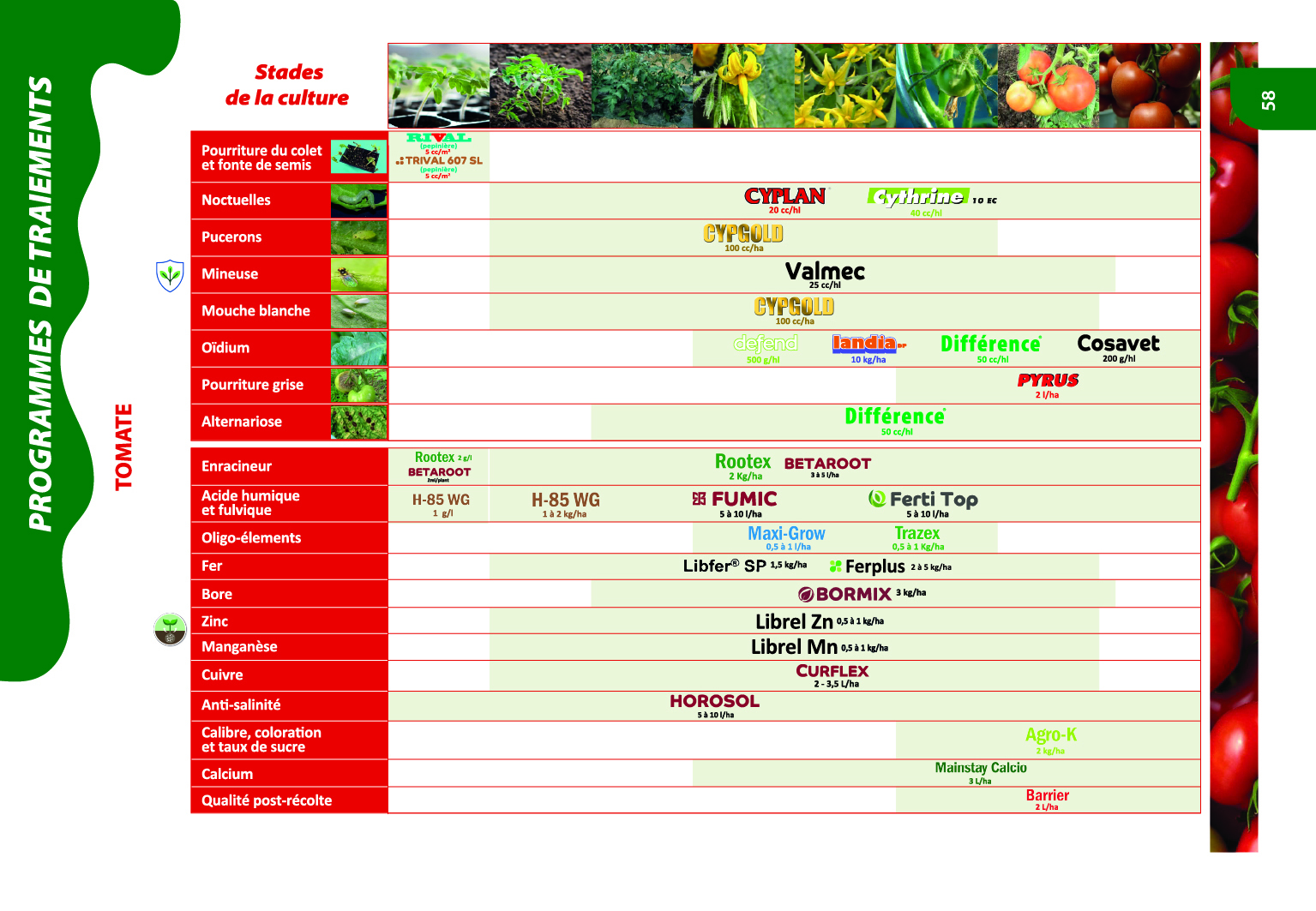 Programme de traitements agrumes