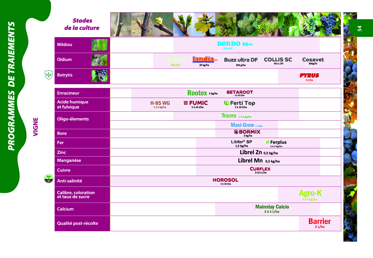 Programme de traitements agrumes